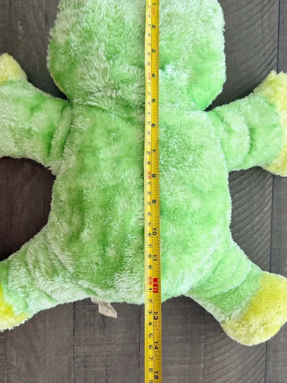 Green Plush Frog